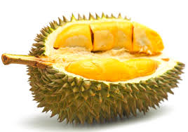 durian-kuning